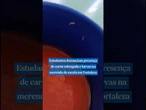 Estudantes denunciam presença de carne estragada e larvas na merenda de escola em Fortaleza #shorts