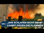 SPANIEN: Hunderttausende Hektar durch Waldbrände zerstört! Behördenversagen auf ganzer Linie