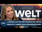 ATOMKRAFT: "Wir waren Blindgänger, was die Energiewende betrifft" | WELT Meinung