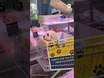 Italian grocery store equips carts with special boxes for dogs