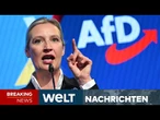 DEUTSCHLAND: Verbot der AfD? Partei will sich gegen Einstufung des Verfassungsschutzes wehren I WELT