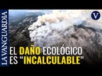 Imágenes aéreas del mega-incendio forestal hoy al norte de Madrid (La Mierla)