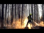 Feuerwehr bringt Waldbrand bei Sonnenwalde unter Kontrolle
