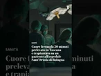 Cuore fermo da 20 minuti prelevato in Toscana e trapiantato su un paziente a Bologna