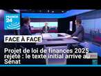 Projet de loi de finances 2025 rejeté : le texte initial arrive au Sénat • FRANCE 24