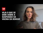 Entenda o que acontece após a suspensão da vacina da dengue | LIVE CNN