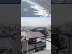 Hundreds of birds swarm Japan sky amid biggest earthquake in 14 years