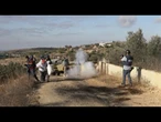 Cisgiordania, raccolta delle olive non consentita ai palestinesi
