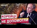 ЗАМІСТЬ солдат КНДР тепер будуть ІРАНЦІ?  Зеленський ОШЕЛЕШИВ ЗАЯВОЮ 21.01.2025