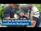 Así fue la detención al caníbal de Budapest que coleccionaba partes de cuerpos humanos