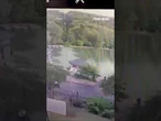 WATCH: Russian chairlift carrying tourists snaps, injuring 8 passengers #shor.ts #foxnews #world