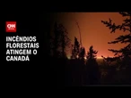 Sete incêndios florestais atingem o sudeste do Canadá | LIVE CNN
