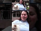 Kyiv resident Tetiana describes how her dog warned her of an incoming drone attack