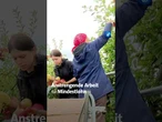 Saisonarbeiter:innen sind für Obstbau-Betriebe essentiell #tagesschau #nachrichten #obstbäume #obst