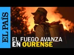 INCENDIOS OURENSE | Vecinos desesperados; más de 48.000 hectáreas arrasadas por las llamas