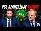KOALICJA ZAWISŁA NA WŁOSKU! PSL szantażuje Tuska? „Wojna o stołki i absurdalne przepisy!” M.Kłeczek