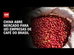 China abre mercado a café, gergelim e farinha de aves e suínos do Brasil | AGORA CNN