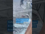 Mulher fica presa em toboágua de cruzeiro a quase 50 metros acima do mar do Alasca #shorts #viral