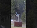 Bizon zaatakował w Yellowstone. Turysta doznał ciężkich obrażeń