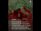 Allarme, ora il mare bolle. Sei gradi in più della media. “Gravi danni all’ecosistema”