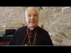 Il no del cardinale alle coppie gay: "Non si benedice il peccato"