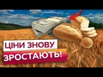 ШОК ДЛЯ УКРАЇНЦІВ! ЦІНИ на ХЛІБ знову ЗЛЕТЯТЬ! Чого чекати від ЦІН НА ПРОДУКТИ в 2025?