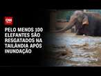 Pelo menos 100 elefantes são resgatados na Tailândia após inundação | LIVE CNN