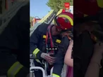 Un bombero rescata a un gato que llevaba tres días en un árbol