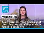 Alain Baraton: ""Les arbres sont bien plus que de la sève et de la feuille, c'est la vie"