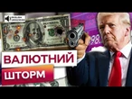 НБУ ШОКУВАВ прогнозом! Українці ТЕРМІНОВО продають ДОЛАР? Ось в ЯКІЙ ВАЛЮТІ краще зберігати ГРОШІ