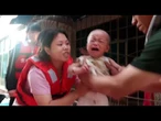 Chine : six morts dans les inondations du sud du pays • FRANCE 24