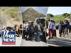 ICE official ridicules 'INSANE' call from California congressman