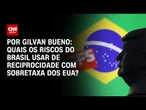 Quais os riscos do Brasil usar reciprocidade com sobretaxa dos EUA? | CNN NOVO DIA