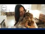 Carl Lentz's wife on why she stayed with her husband after affair, public humiliation
