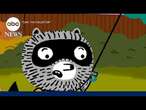 New animated series features raccoon with autism