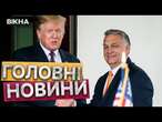 “Зробимо Європу знову величною”  ТРАМПІВСЬКІ наративи розлітаються країнами ЄС