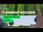 Comment nourrir toute la France en bio ? • FRANCE 24