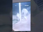 CAUGHT ON CAM: Video shows inmates escaping jail #shorts #breakingnews #us #crime #news #viralvideo