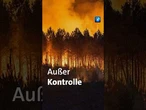 Waldbrände in Spanien und Frankreich #waldbrände #spanien #frankreich #nachrichten #tagesschau