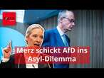 Merz schickt AfD ins Asyl-Dilemma - und sich selbst in eine heikle Lage