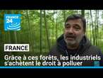 Ces agriculteurs français plantent des bambous pour vendre aux industriels le droit de polluer