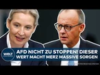 DEUTSCHLAND: Neuer Umfrage-Rekord! AFD nicht zu stoppen! Dieser Wert macht Merz Sorgen