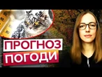 СНІГ скоро накриє УКРАЇНУ? Погода в УКРАЇНІ на другу половину ЛИСТОПАДА