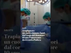 Trapiantato un cuore rimasto fuori dal corpo del donatore 10 ore