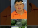A Louisiana man was attacked by an alligator while escaping a traffic stop in St. Charles Parish.