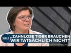 SPRITPREISE: Steuerzahlerbund fordert Härte – „Endlich mal kartellrechtlich da vorgegangen werden“