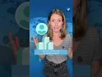 Influencer sollen massiv Steuern hinterzogen haben