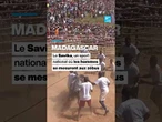 #Madagascar : le #Savika, un sport national où les hommes se mesurent aux zébus • FRANCE 24