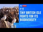 FYI: The Island fighting back to protect its biodiversity