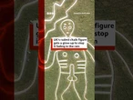UK's rudest chalk figure Cerne Abbas Giant gets a glow-up. #Dorset #BBCNews